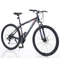 29&quot; MTB 24 sebesség teleszkópos első villa, tárcsafékek fekete-szürke-piros 31A